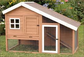 Chicken Hutch Plans for raising chicken and To Reduce Costs | The 