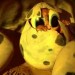 hatching1