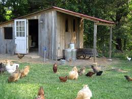 wonderful diy recycled chicken coops