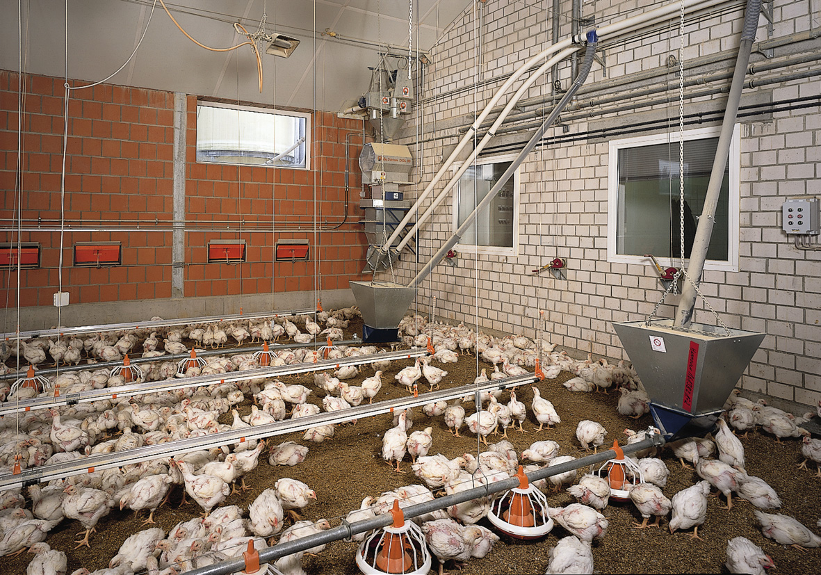 Poultry Farm House