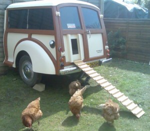Cool Chicken Coops