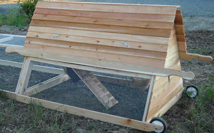 10 Most Creative and Innovative Chicken Coop Designs | The Poultry ...