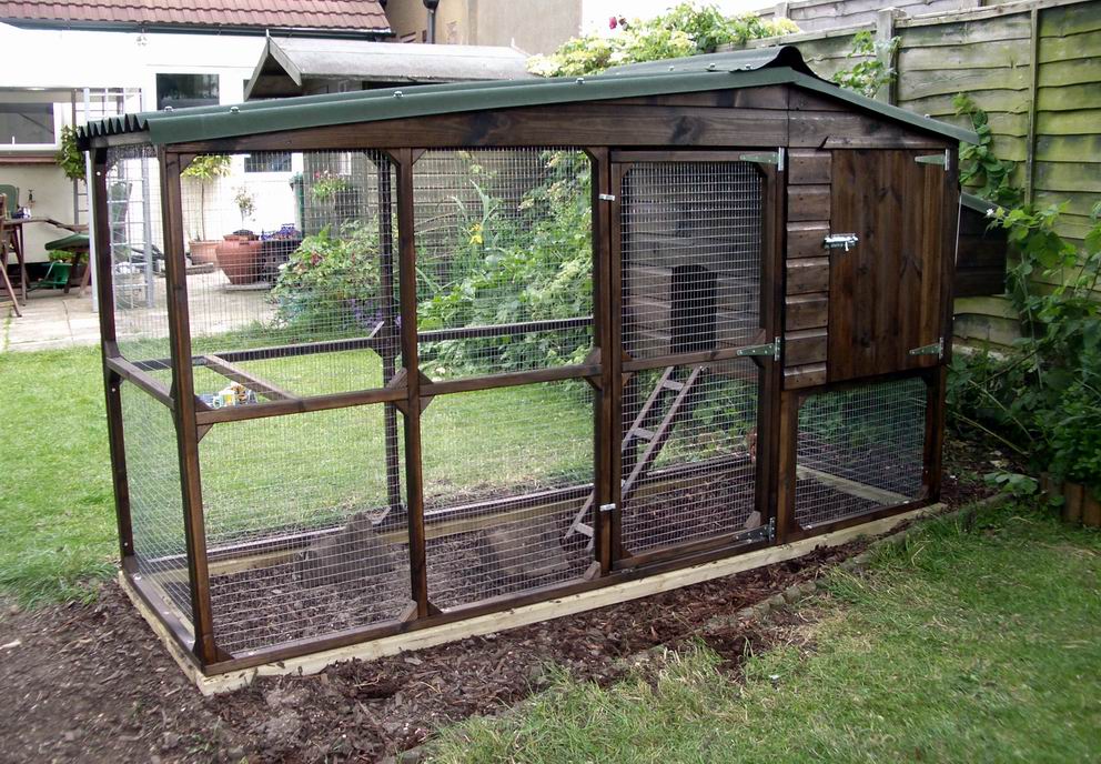 chicken coop and run