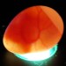 egg candling