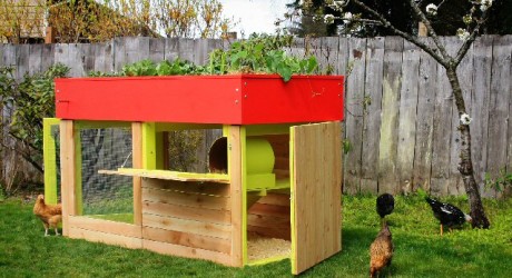 for chick coop: 10 x 10 chicken coop plans