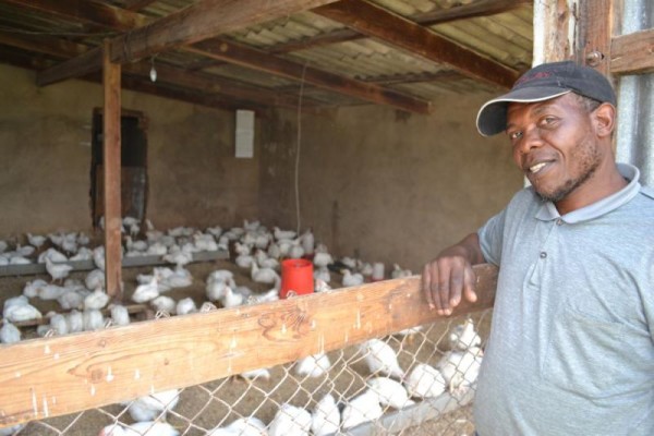 Overview Of Poultry Industry In South Africa | The Poultry Guide