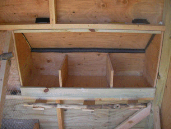 Inside A Commercial Chicken Coop Chicken coop nest box