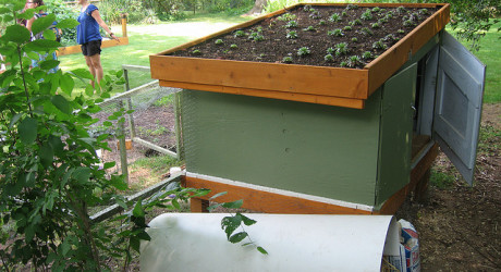 Coop plans: Chicken coop plans with green roof