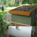 green roof chicken coop