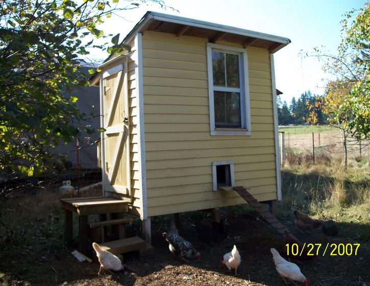 This is a small 4*8 chicken coop made from scrap lumber . This coop is 