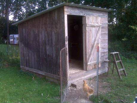 free chicken coop plans made from recycled material | The Poultry 