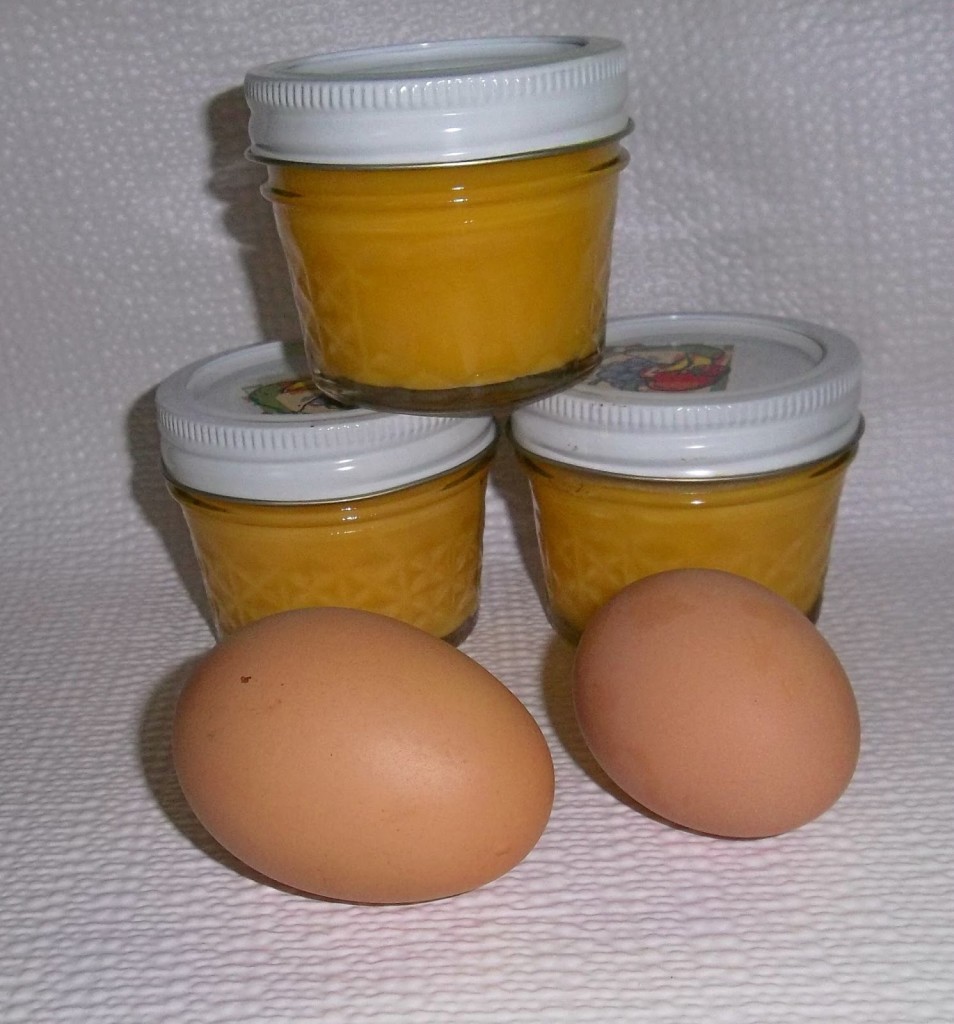 12-ways-to-preserve-chicken-eggs-to-prolong-its-freshness-the-poultry