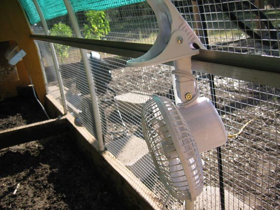 ... to get rid of Bad Smell in Chicken Coop-litter management in summer