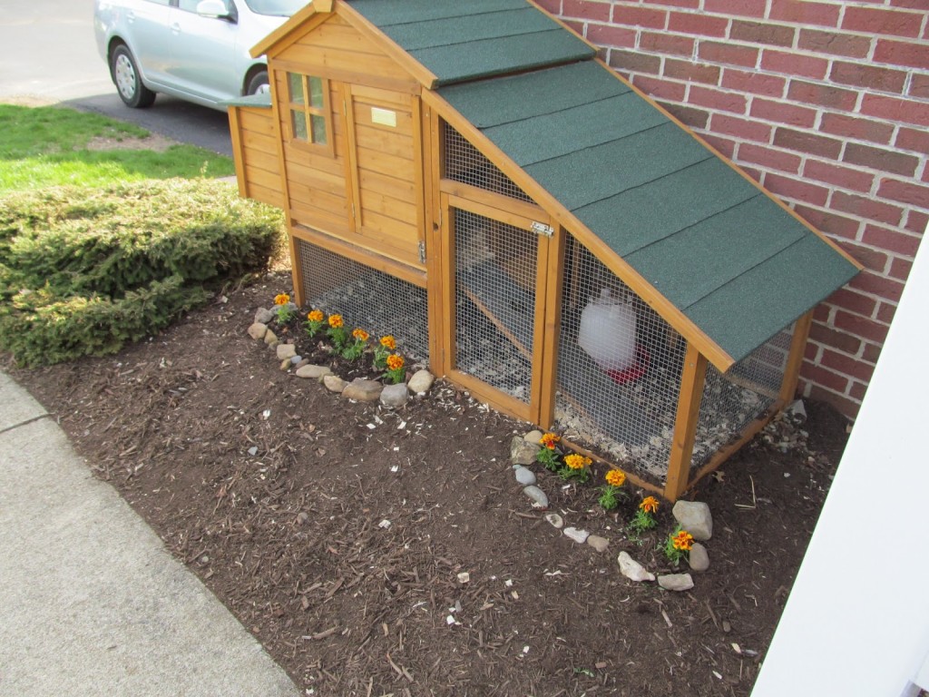 Inspiring Free Plans For Building Chicken coop Run | The Poultry 