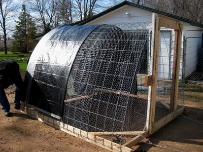 Mina: Rustic chicken coop design