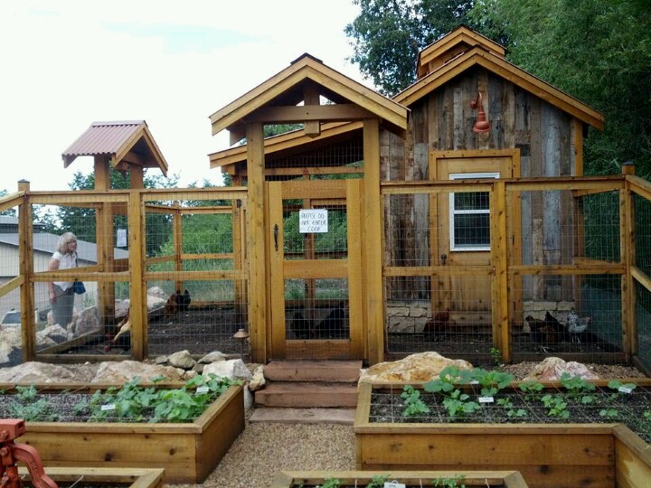 ... Chicken Coop Designs For Your Lovely Birds | The Poultry Guide