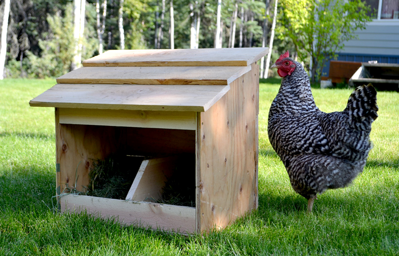 Nesting Box made of Dish Pan by rebecca simpson