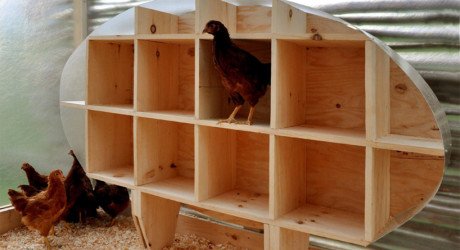  Poultry · Tagged: chicken coop nest box , plans for chicken coop