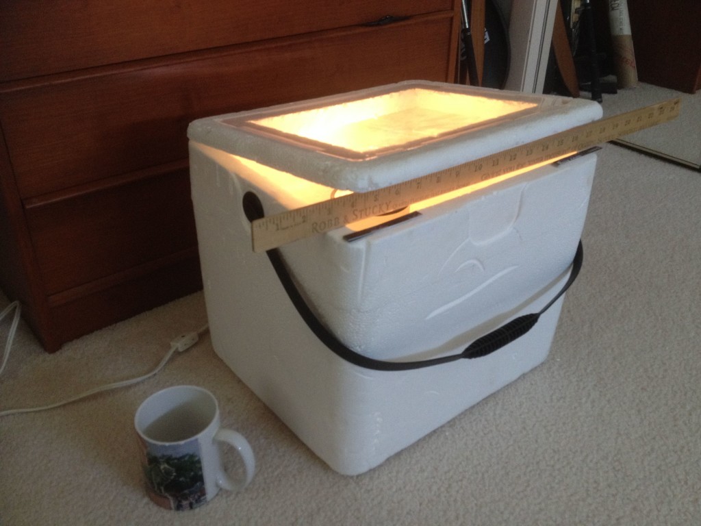 How Do You Make A Homemade Egg Incubator