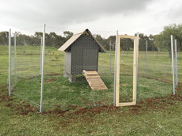 10 Free Pallet Chicken Coop Plans You Can Build in a Weekend | The ...