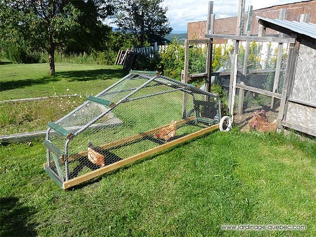 10 A-Frame Chicken Coops For Keeping Small Flock Of ...