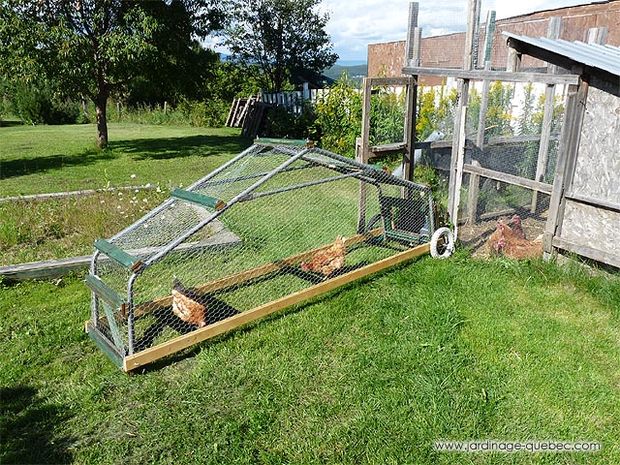 10 A-Frame Chicken Coops For Keeping Small Flock Of Chickens | The 