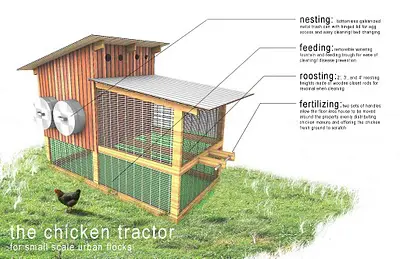 Beginner's guide to building your first chicken coop