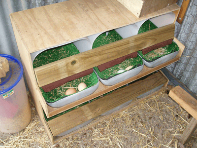 nest boxes