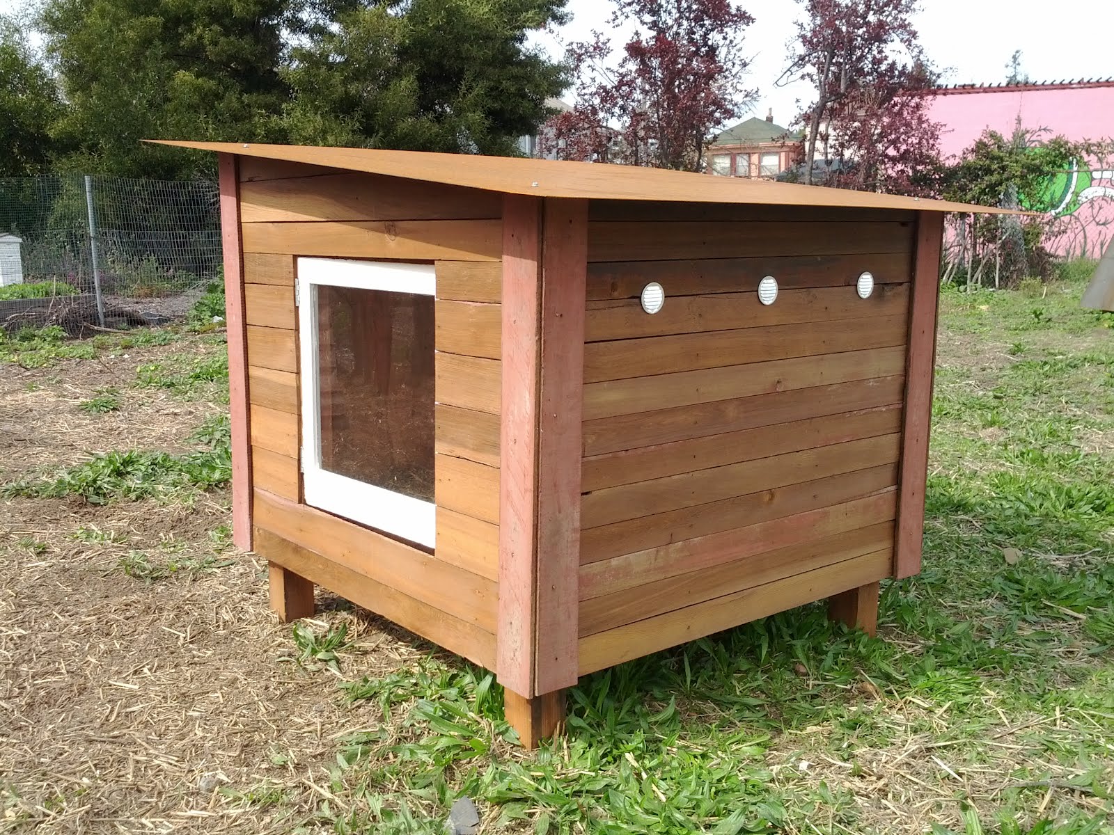 A beginner guide for building a chicken coop – The Poultry Guide