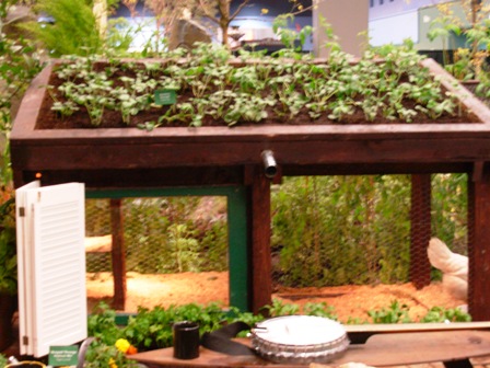 benefits of green roof