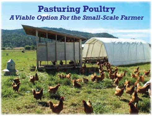benefits of pastured poultry