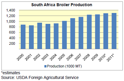 broiler production in south africa