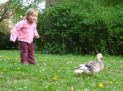 ducks with children