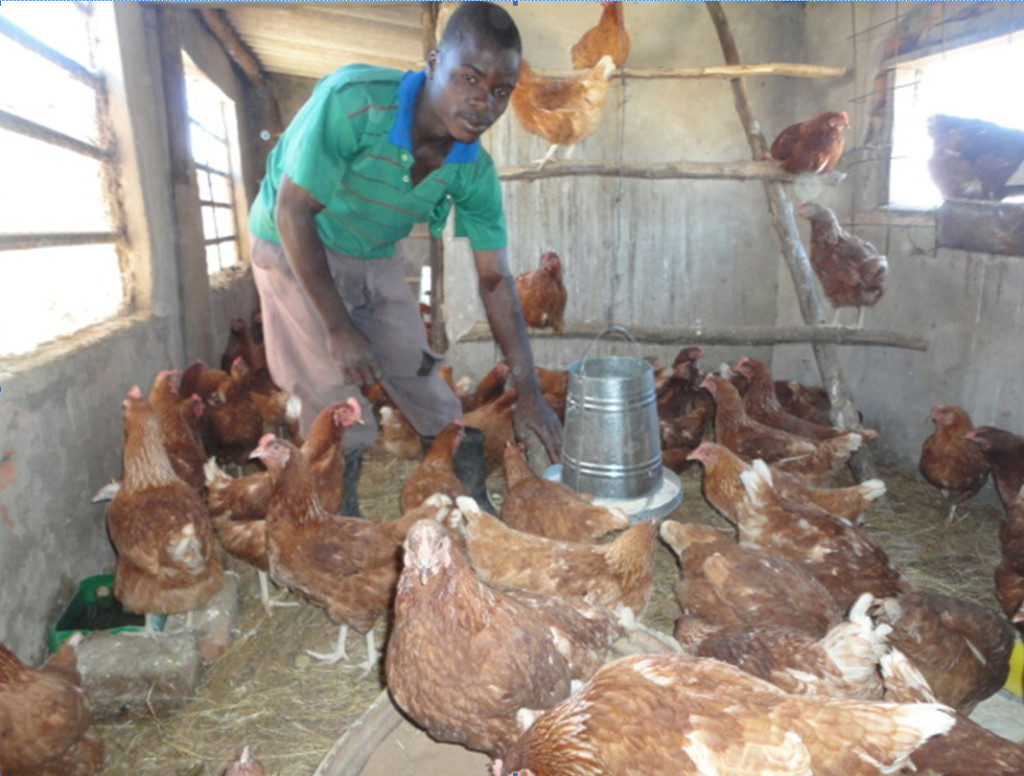 problems in south african poultry