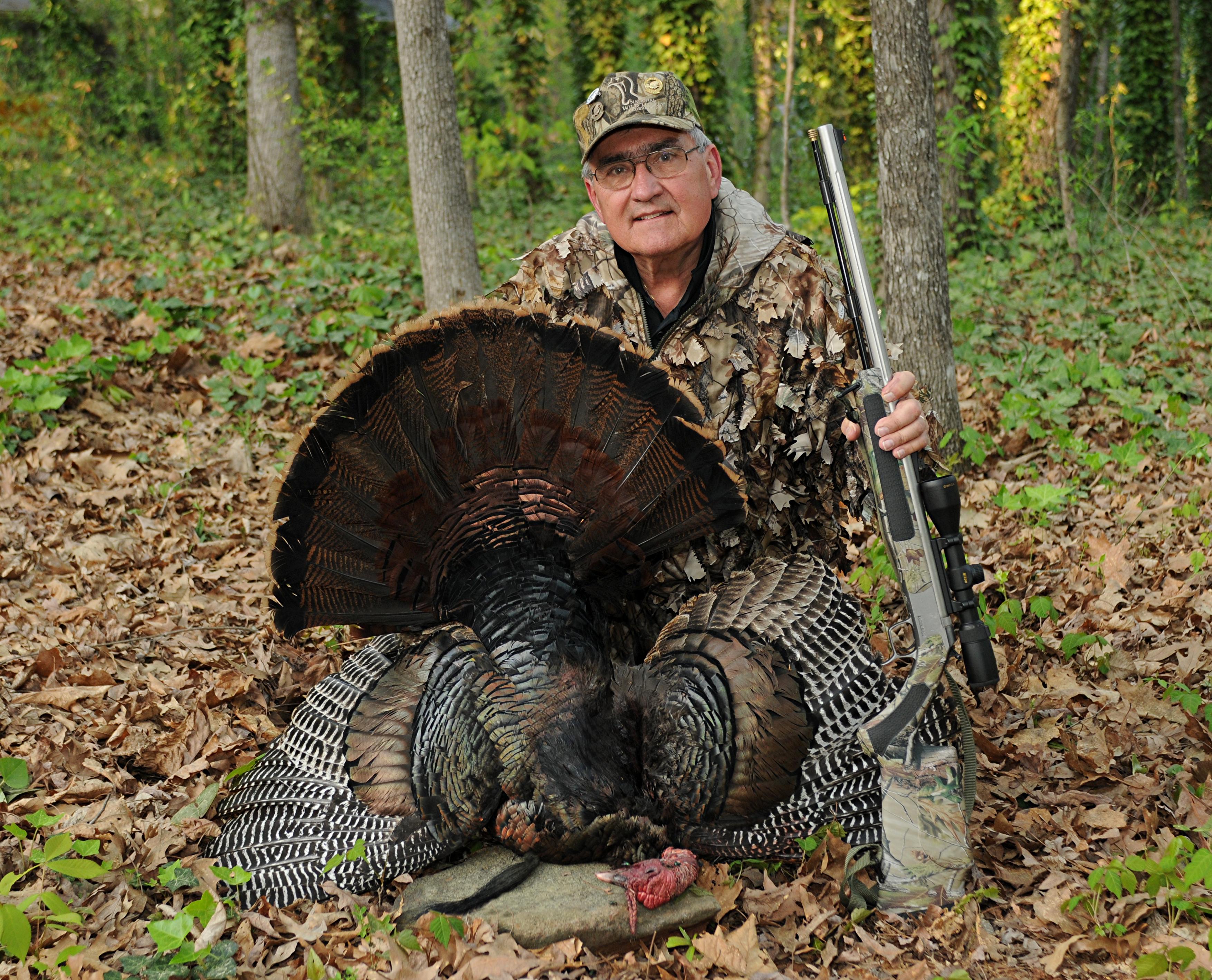 Wild Turkeys Facts and Hunting The Poultry Guide