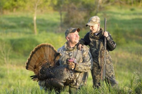 Managing Health of Turkeys The Poultry Guide Biology Diagrams