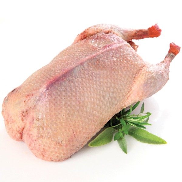 Nutritional value of duck meat for human health The Poultry Guide