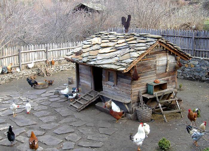 handcrafted chicken coop1