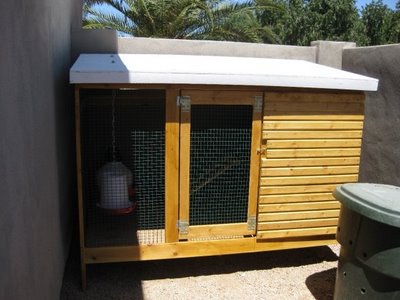ikea home for chickens