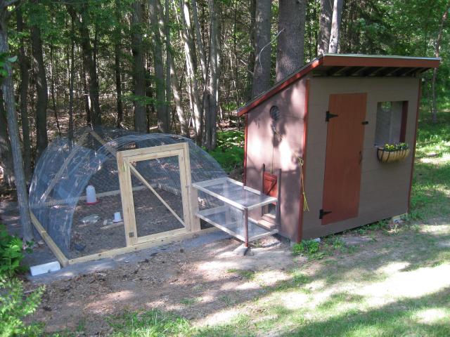 Chicken Coop For 6 Hens