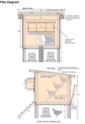 chicken pen layout