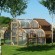 Chicken Run Plans