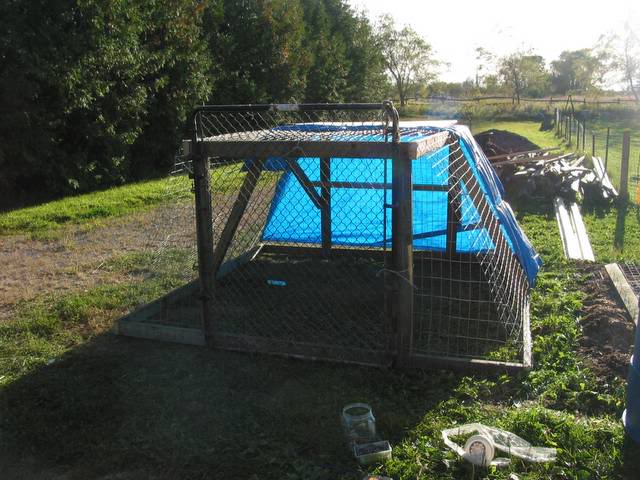 From Scrap To Chicken Tractor