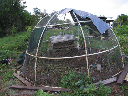 Chook Dome Chicken Tractor