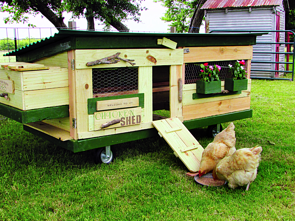 DIY Chicken Tractor