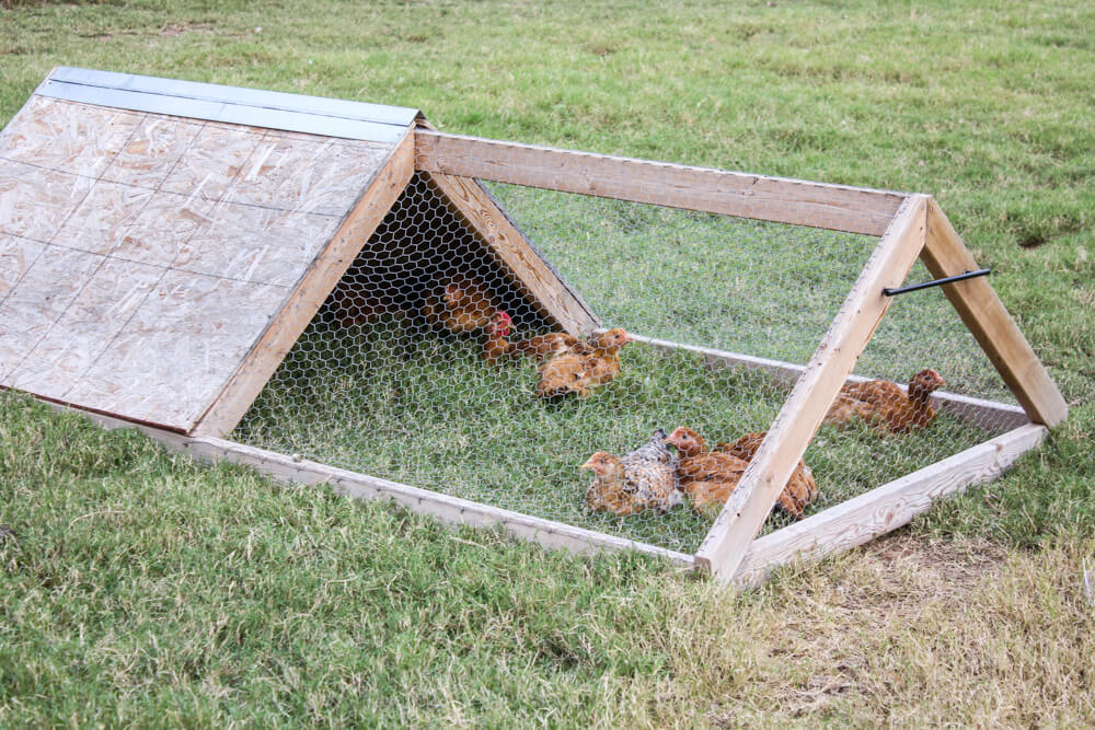 Homemade Chicken Tractor