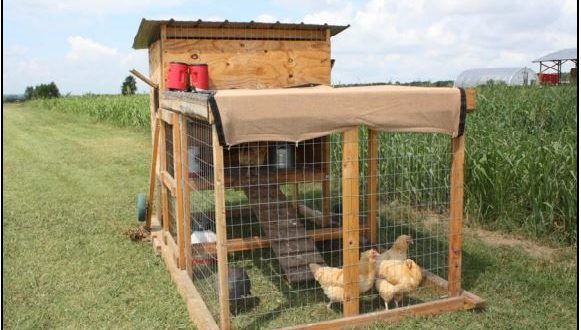 Chicken Tractor Plans