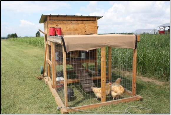 Our Mobile Chicken Coop Tractor - Artful Homemaking