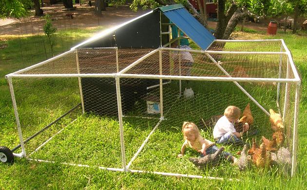 Simple PVC coop design