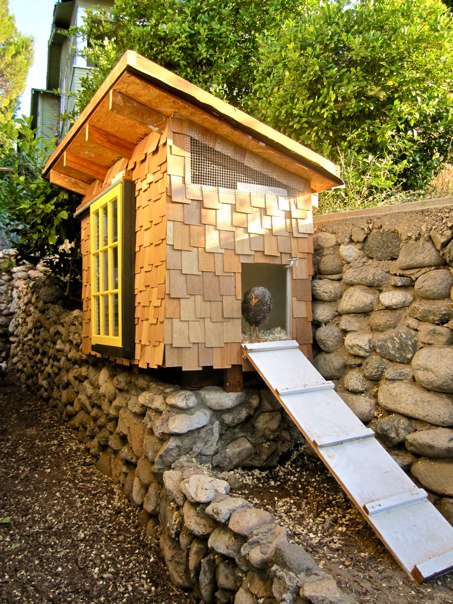 Rustic chicken coop